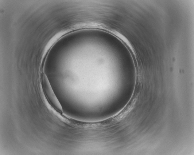 X0000076301389200609291024