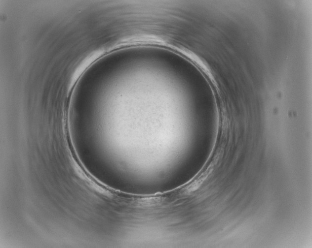 X0000076301390200609291024