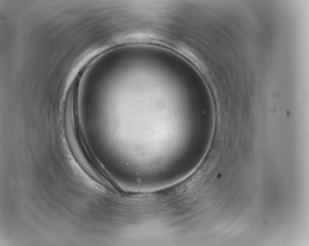 X0000076301392200609291024