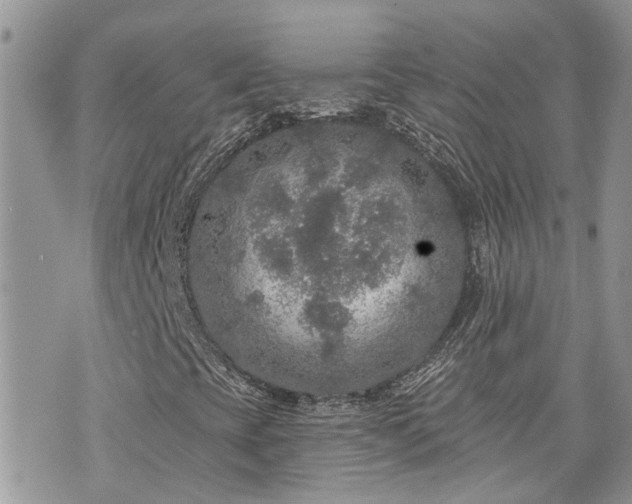 X0000076301393200609291024