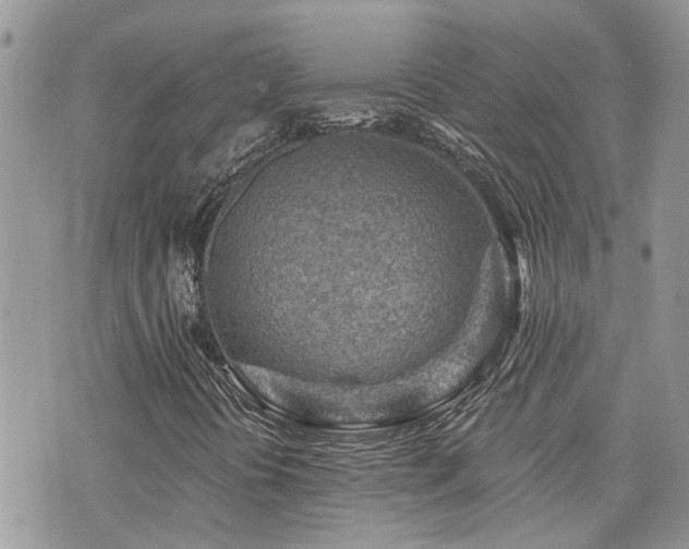 X0000076301394200609291024