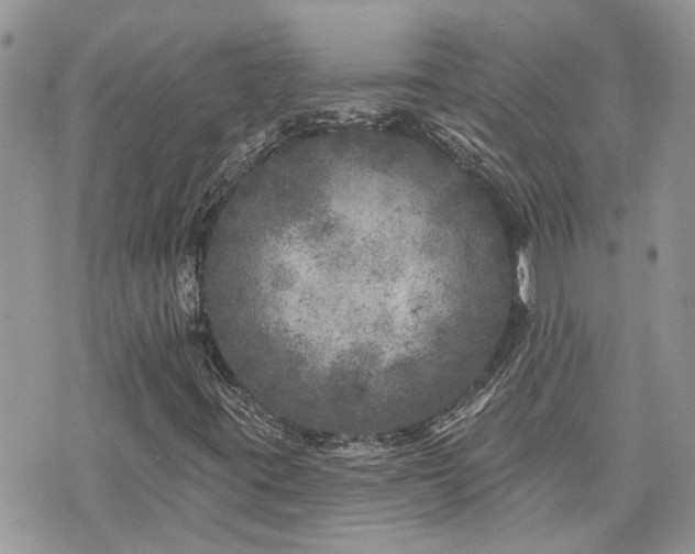 X0000076301395200609291024