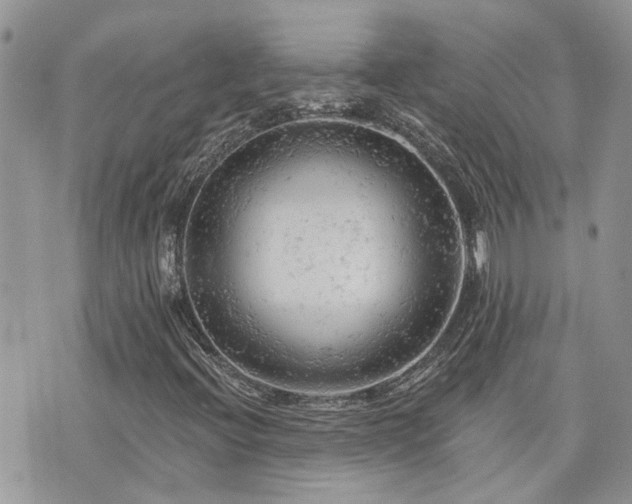 X0000076301396200609291024