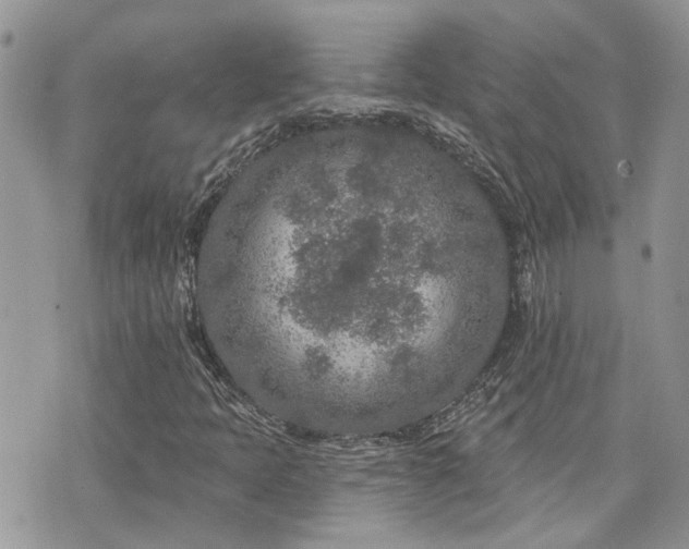 X0000076301397200609291024