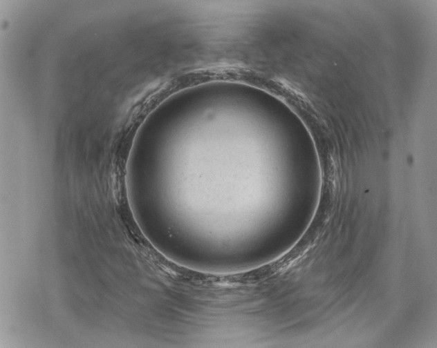 X0000076301398200609291024