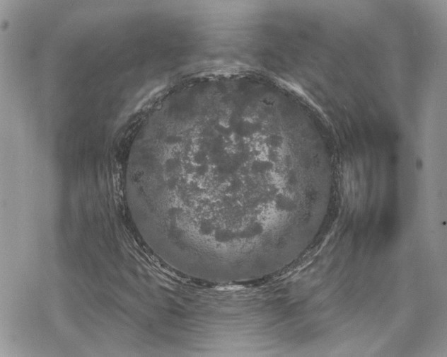 X0000076301399200609291024