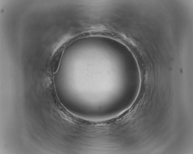 X0000076301400200609291024