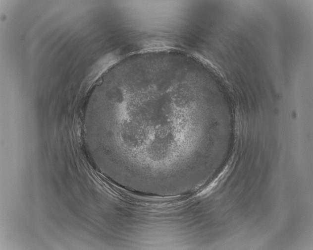 X0000076301401200609291024