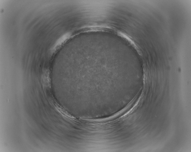 X0000076301403200609291024