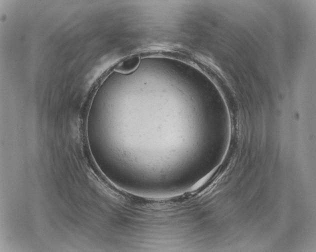 X0000076301404200609291024