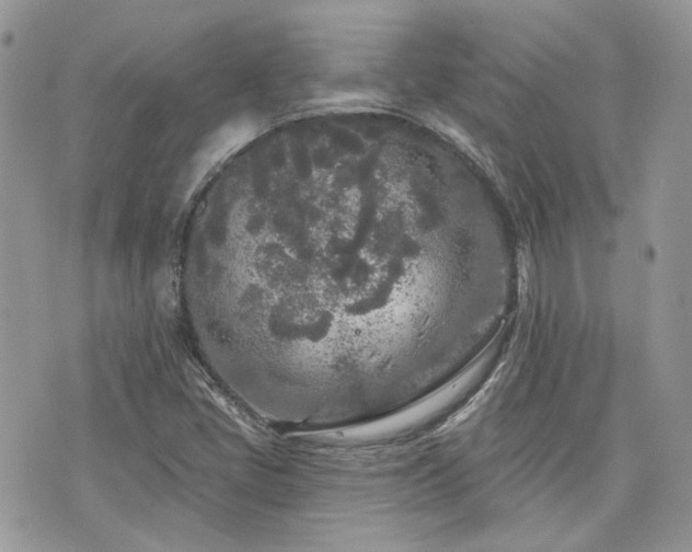 X0000076301405200609291024