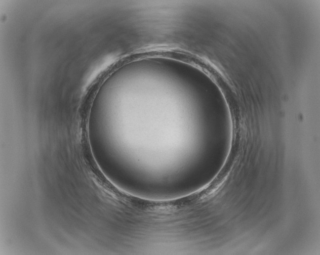 X0000076301406200609291024