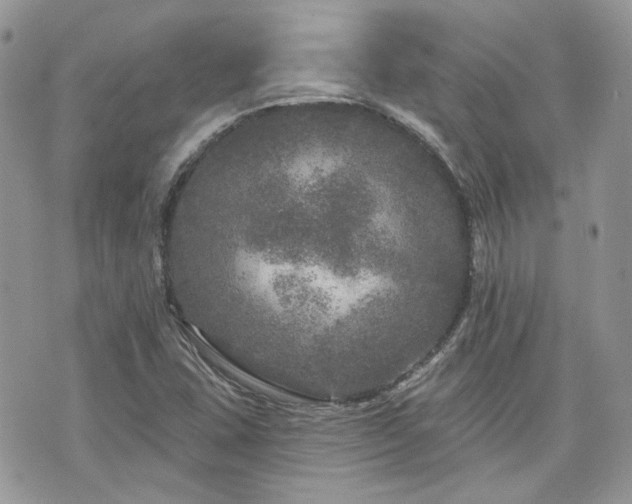 X0000076301407200609291024