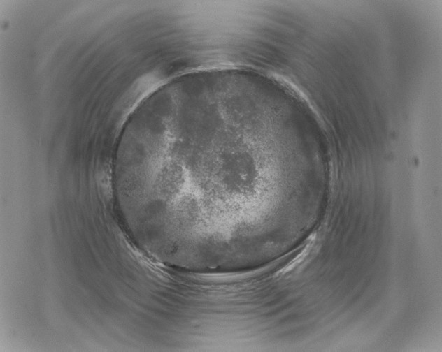 X0000076301409200609291024