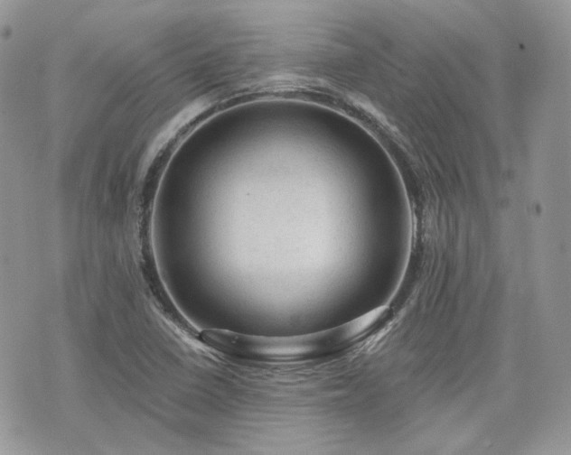 X0000076301410200609291024