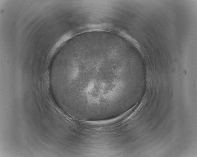 X0000076301411200609291024