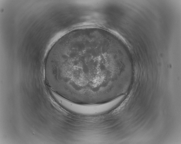 X0000076301413200609291024