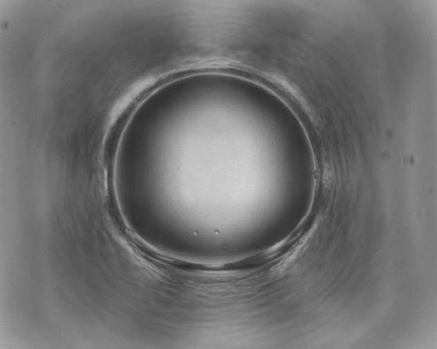 X0000076301414200609291024