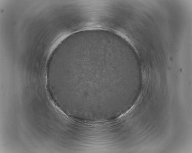 X0000076301415200609291024