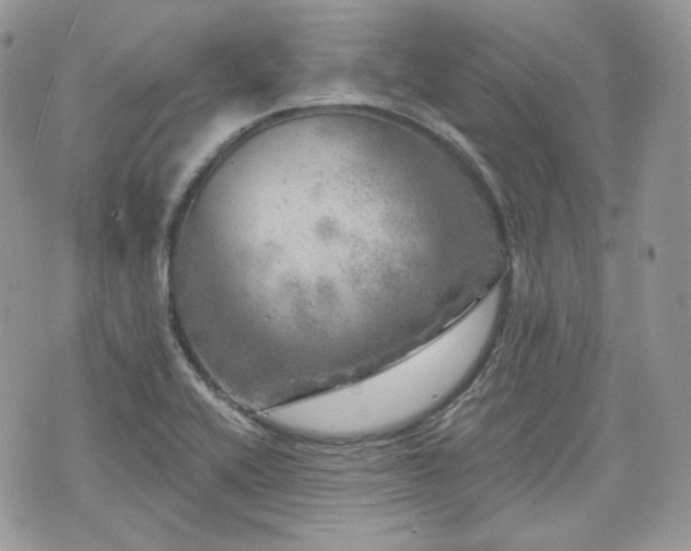 X0000076301416200609291024