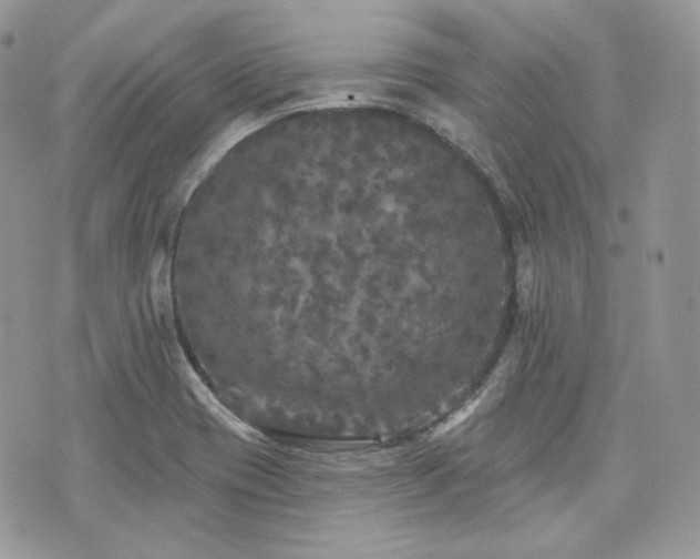 X0000076301417200609291024