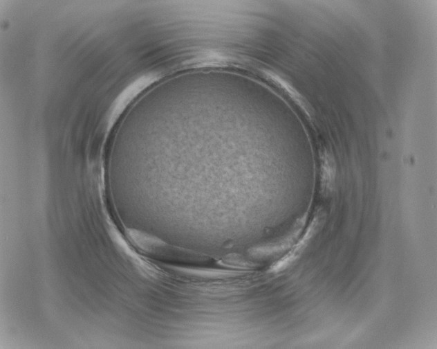 X0000076301418200609291024