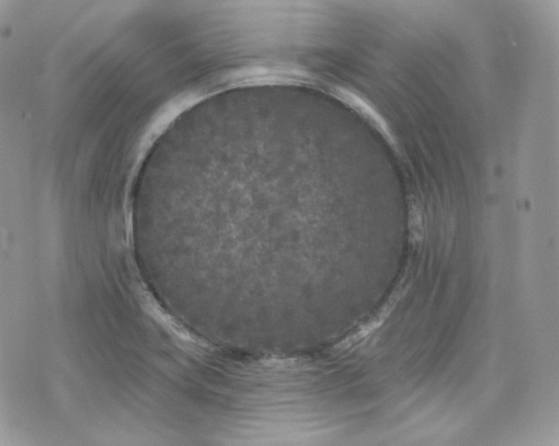 X0000076301419200609291024