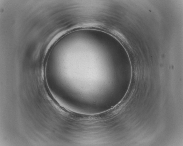 X0000076301420200609291024