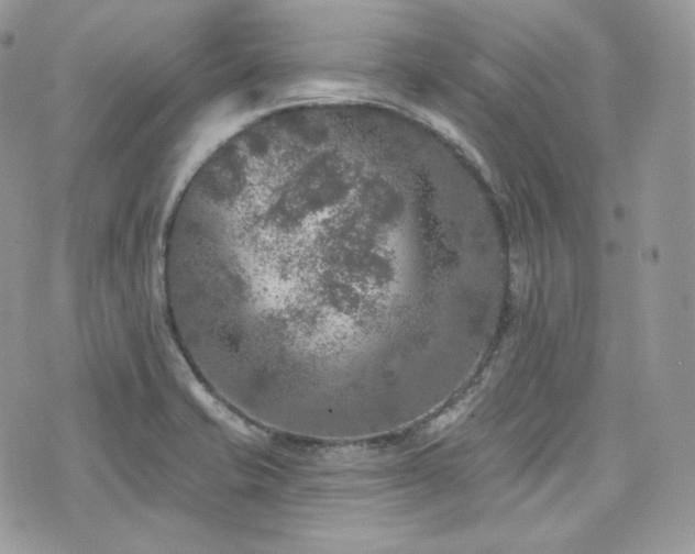 X0000076301421200609291024