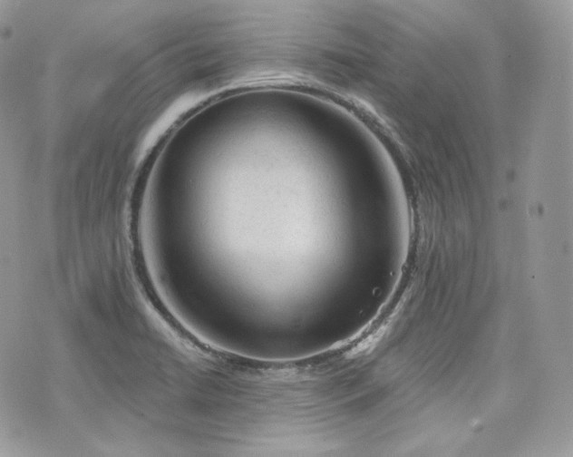 X0000076301422200609291024