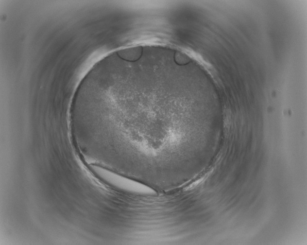 X0000076301423200609291024