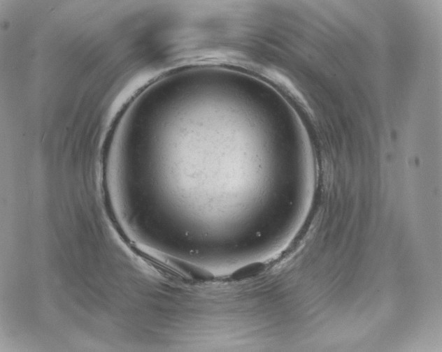 X0000076301424200609291024