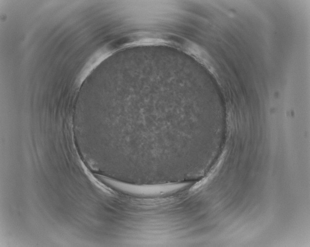 X0000076301425200609291024