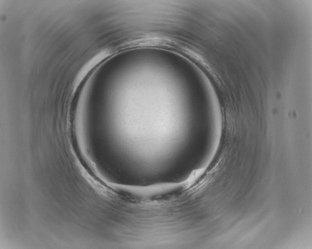 X0000076301426200609291024