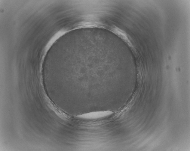 X0000076301427200609291024