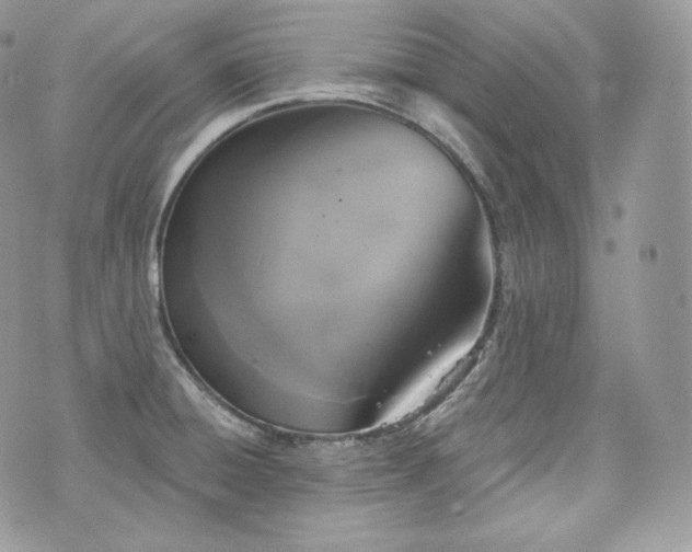 X0000076301428200609291024