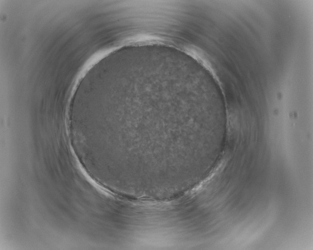 X0000076301429200609291024