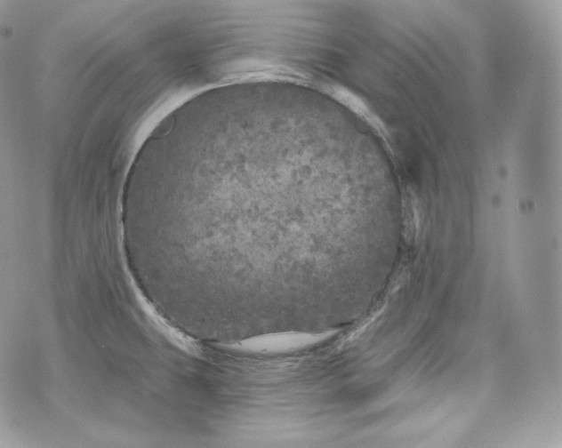 X0000076301431200609291024