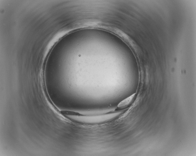 X0000076301432200609291024