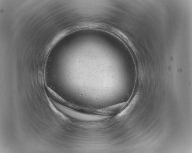 X0000076301433200609291024