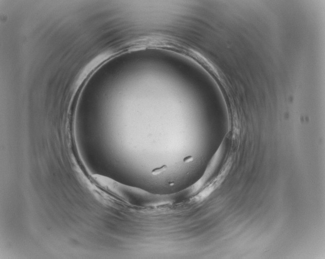 X0000076301434200609291024