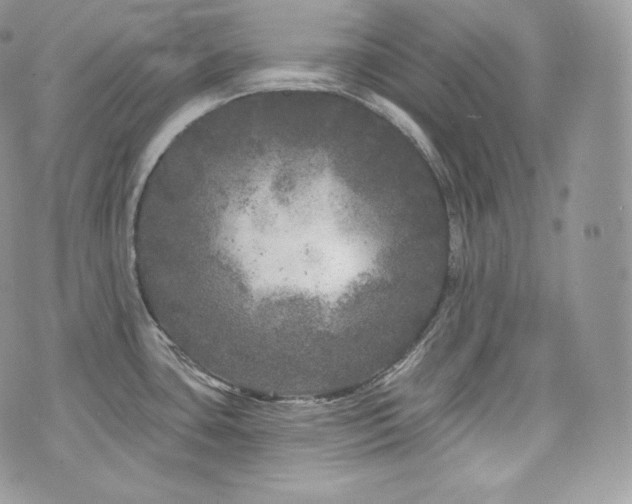 X0000076301435200609291024