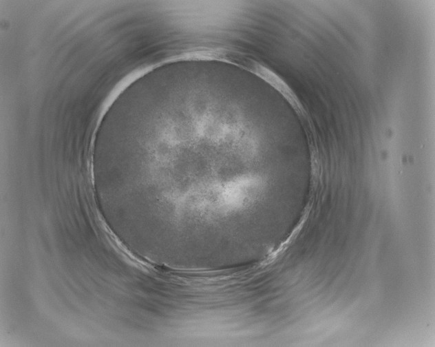 X0000076301436200609291024