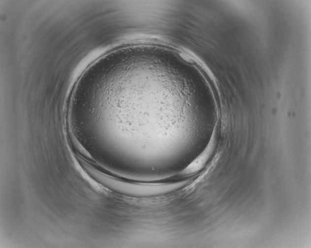 X0000076301437200609291024