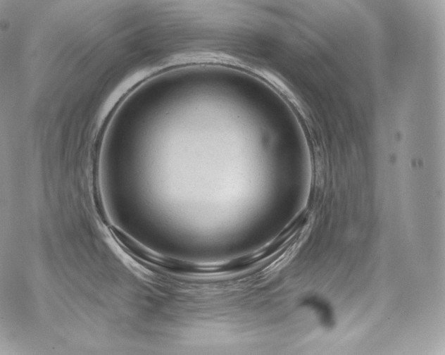 X0000076301438200609291024