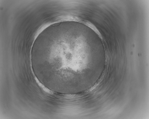 X0000076301439200609291024