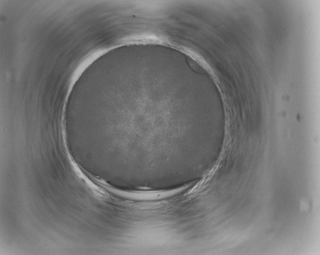 X0000076301440200609291024