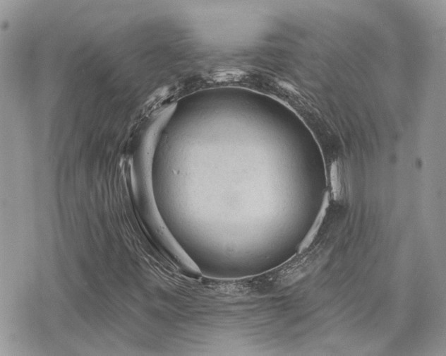 X0000076301443200609291023