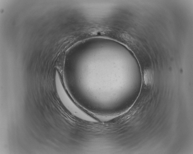 X0000076301444200609291023