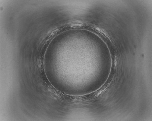 X0000076301445200609291023